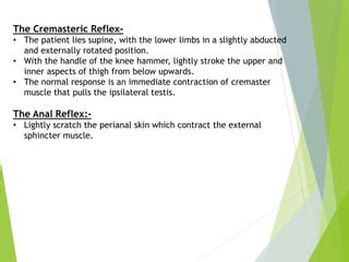 Part 5 examination of reflex | PPT