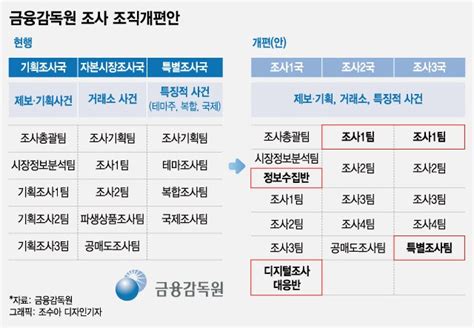 조사 조직개편·인력확충 나선 금감원 기대와 우려 동시에 머니투데이