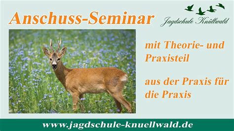 Anschuss Seminar Der Jagdschule Kn Llwald Youtube