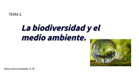 La biodiversidad y el medio ambiente (Rocio)