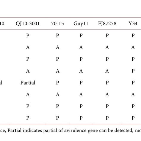 Presenceabsence Variation Of Cloned Avirulence Avr Genes Among