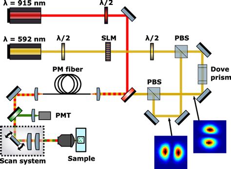 A Diagram Of The 2P Fiber STED Microscope SLM Spatial Light