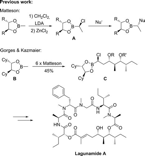 A Matteson Homologationbased Synthesis Of Doliculide And Derivatives