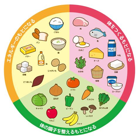 毎日の食事に役立つ 一品料理でも簡単に栄養バランスを整えるコツ ママハピ