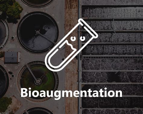 Wastewater Treatment - Bioaugmentation - Advanced BioTech