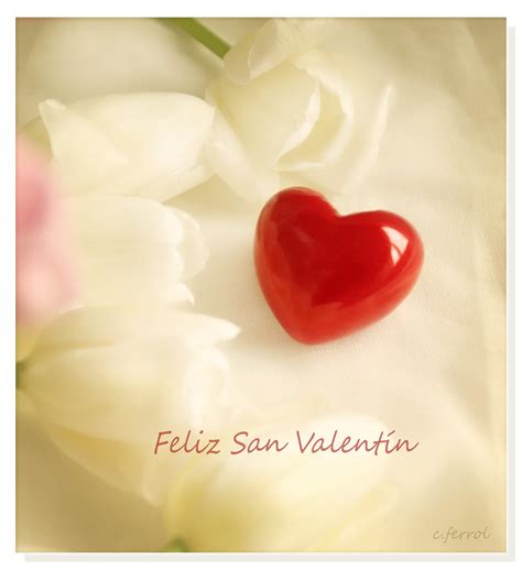 Feliz San Valent N C Ferrol Flickr