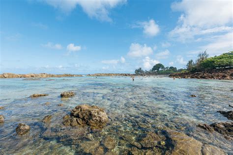 Everything You Need To Know About Sharks Cove O Ahu Hawaii Magazine