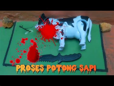 WADIDAU PROSES POTONG SAPI SIMULASI POTONG SAPI 4 YouTube