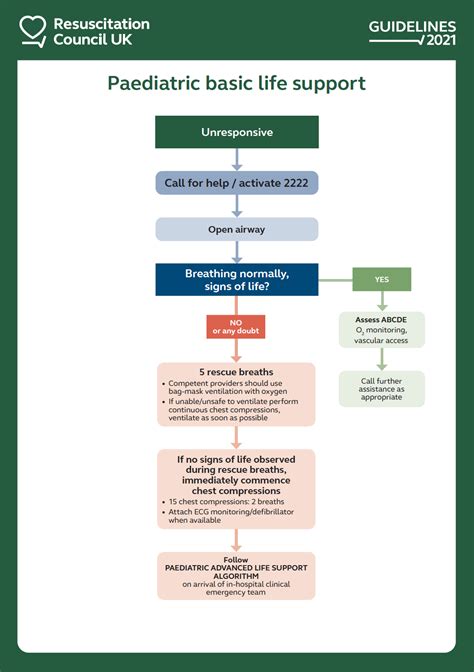 Basic Life Support Chart