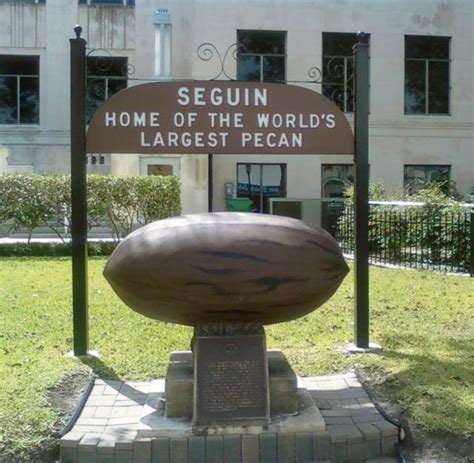 Worlds Largest Pecan Atlas Obscura