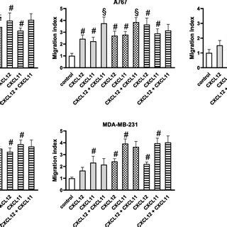 Combined Effects Of CXCL12 And CXCL11 On Toxin Induced Tumor Cell