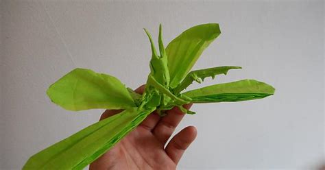 Flying Praying Mantis Designed And Folded By Me Album On Imgur