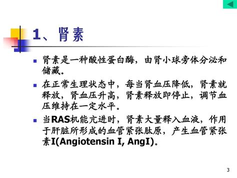 1000141药理学药第23章肾素血管紧张素系统药理1002word文档在线阅读与下载免费文档