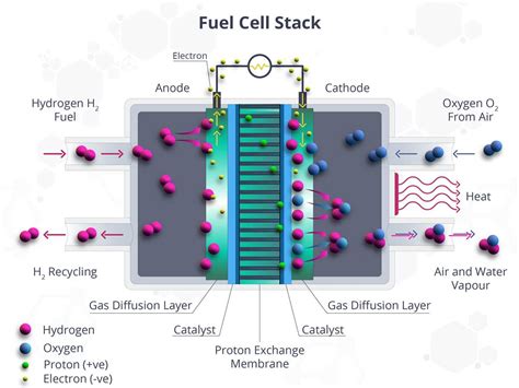 An illustration of a hydrogen oxygen fuel cell