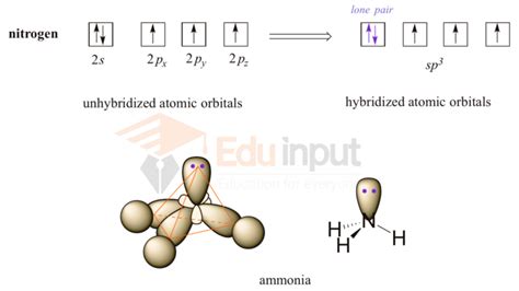 sp3-hybridization, definition, explanation, examples and significance