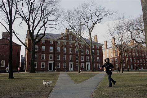 Harvards Chief Diversity Officer Hit With 40 Plagiarism Accusations