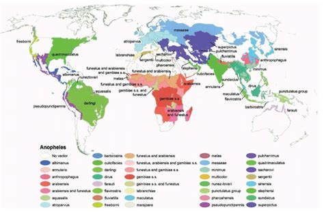 Global Distribution Of Dominant Malaria Vectors Picture Adapted