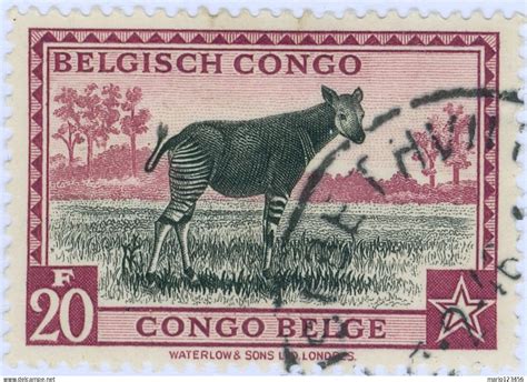 Gebruikt Congo Belga Belgian Congo Fauna Okapi Fr