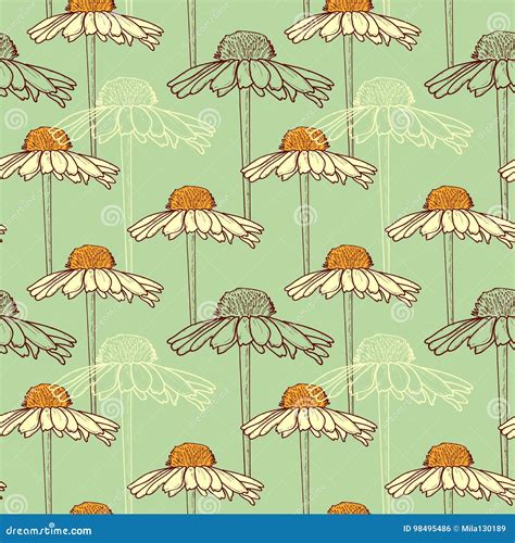 Floral Seamless Pattern With Chamomile On Blue Background Vector