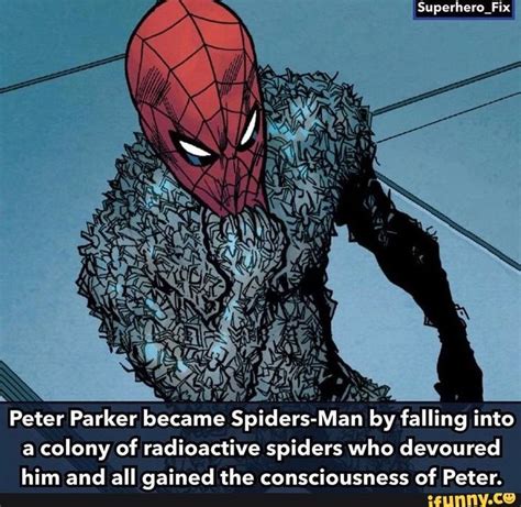 Superhero Fix Peter Parker Became Spiders Man By Falling Into A Colony