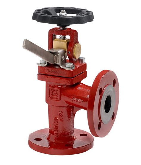 Self Closing Valve Angled Type