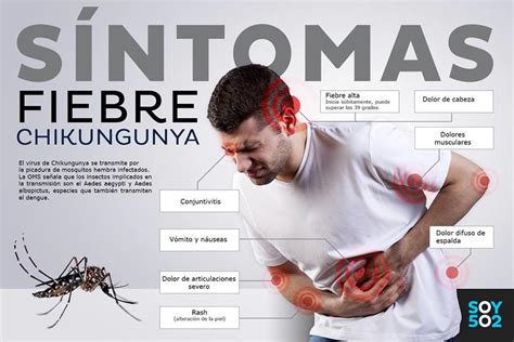 Los Datos Que Debes Saber Sobre El Virus Chikungunya Soy