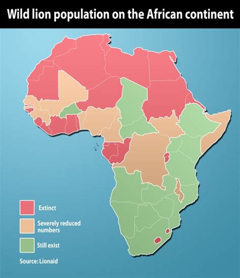 Lion Population In Africa Lions Of The World