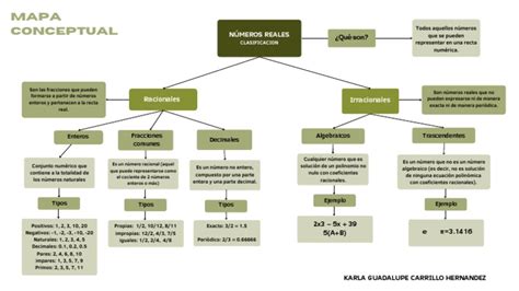 Mapa Conceptual Numeros Reales Clasificacion Pdf Números Número