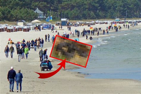 Urlaub An Der Ostsee Gruseliger Fund Versetzt Menschen In Angst