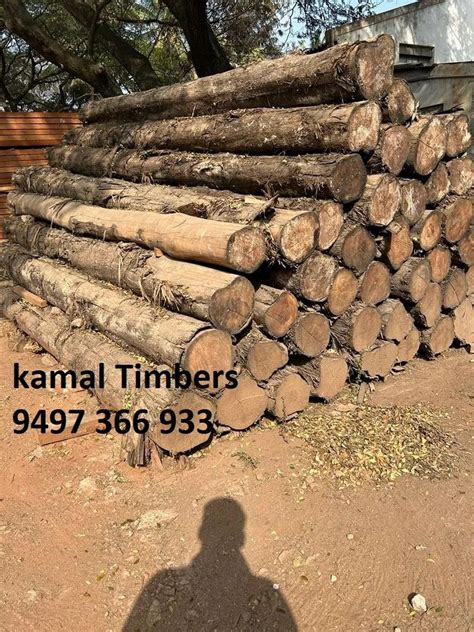 Brown Round FSC Certified Teak Wood Logs 12 At Rs 850 Cubic Feet In