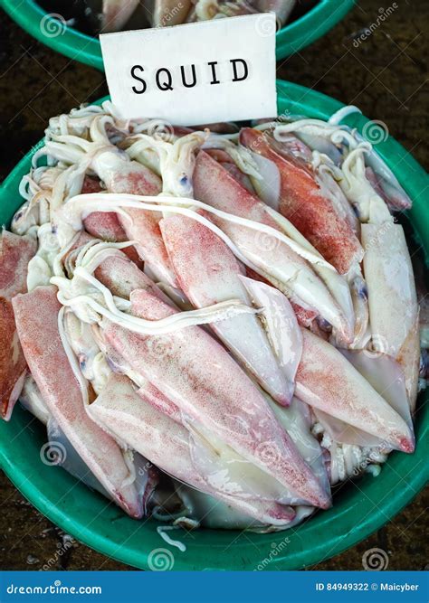 Seafood Fresh Squid In The Local Market Stock Photo Image Of Fresh