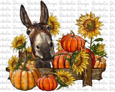 Donkey With Sunflowers And Pumpkin Png Sublimation Design Etsy