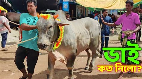 Bhai Koto Nilo Gabtoli Gorur Haat 2023 Part 44 Qurbani Cow Price In