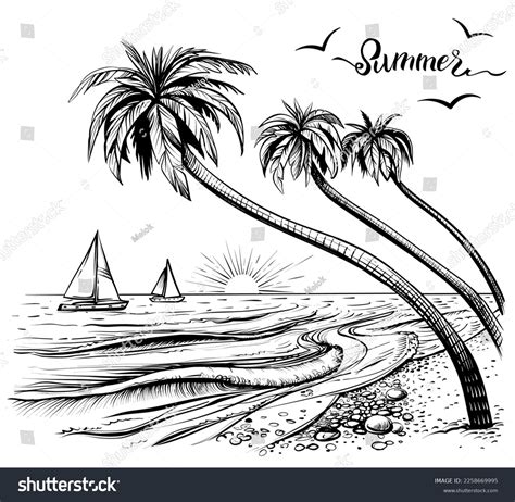 26,113 Beach Sunset Drawing Royalty-Free Images, Stock Photos ...