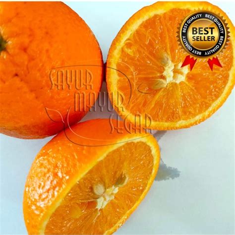 Promo Jeruk Sunkist Valencia Premium Buah Segar Dan Manis Grosir