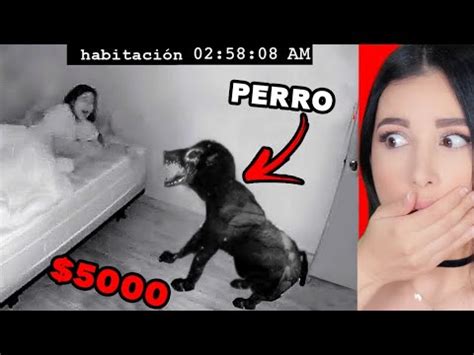 Tiktoks Aterradores Que No Debes Ver De Noche Mariale Youtube