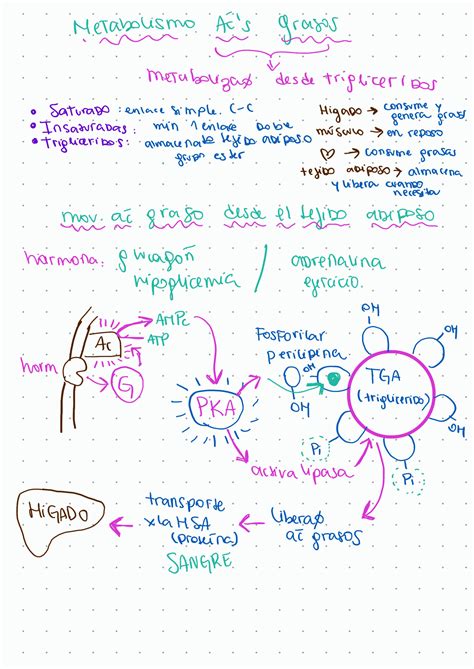 SOLUTION Clase 4 Bioqu Mica Studypool