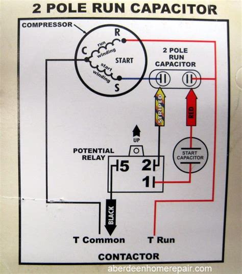 Xprite Chase Light Switch Wiring Diagram WIRNGIGRAM