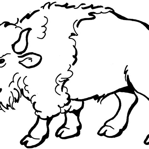 Buffalo Drawing Step By Step | Free download on ClipArtMag