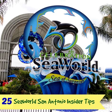 25 Seaworld San Antonio Insider Tips Mommy Snippets