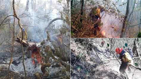 Desastre Ambiental Ya Son Más De 11 000 Las Hectáreas Arrasadas Por El