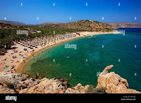 vai beach famous   unique palm tree forest close  sitia town