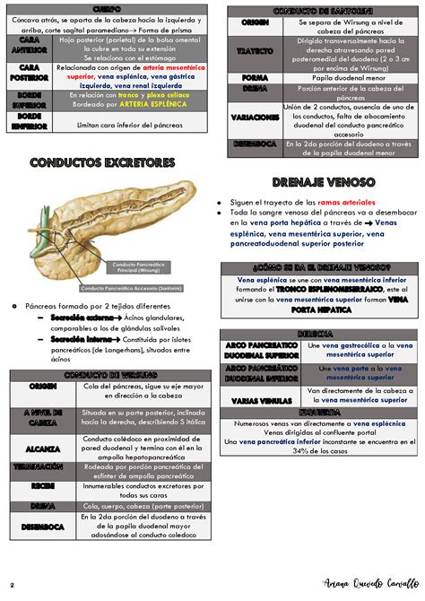 Solution Anatom A Del P Ncreas Resumen Studypool