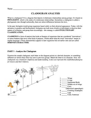 Free cladistics worksheet, Download Free cladistics worksheet png ...