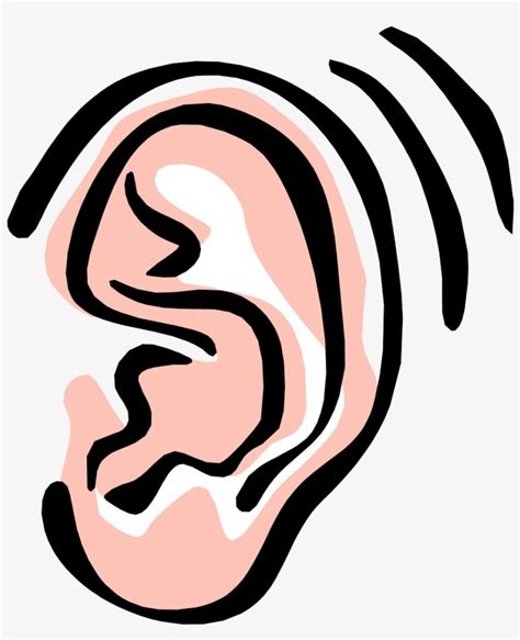 Free Ears Clipart Download Free Ears Clipart Png Images Free Cliparts