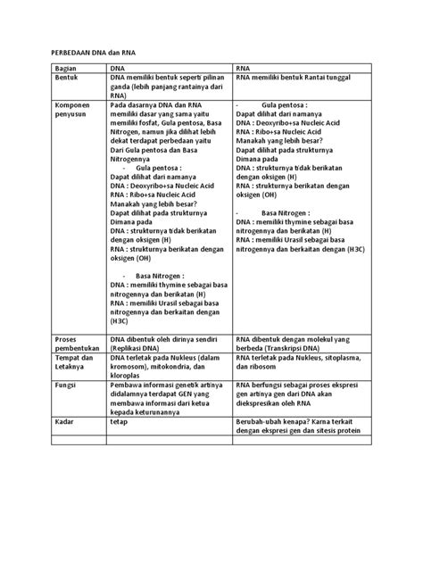 PERBEDAAN DNA Dan RNA | PDF