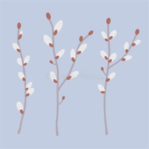 Set Of Pussy Willow Branches In Flat Style Stock Vector Illustration Of Plant Decor