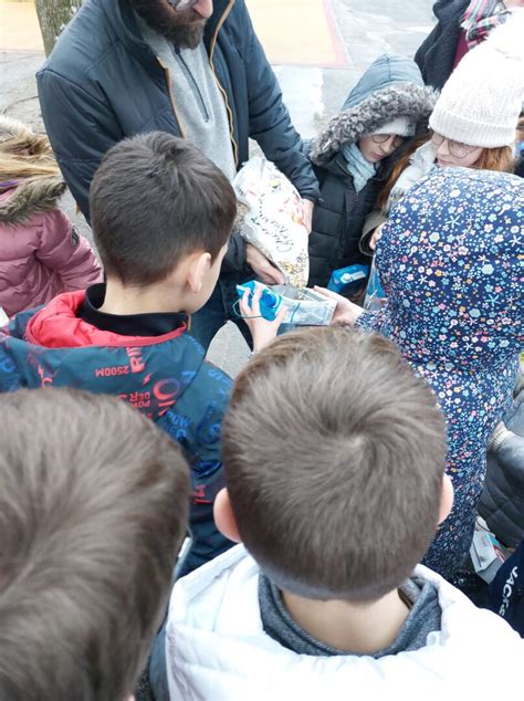 Ma cour en vert Les oiseaux Ecole primaire publique Les fougères