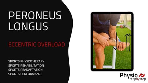 PERONEUS LONGUS Eccentric Overload YouTube