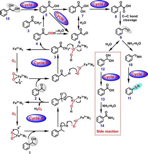 Proposed Mechanism Of The Oxidative Cleavage C─c Bonds Of Diols